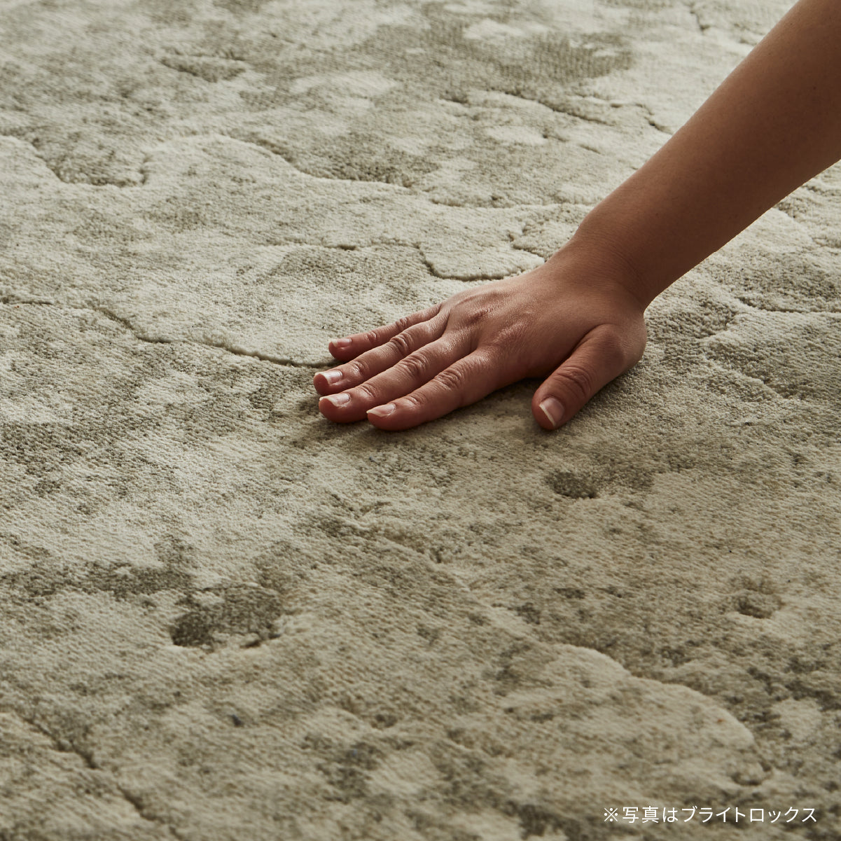 ラグ クレイロックス