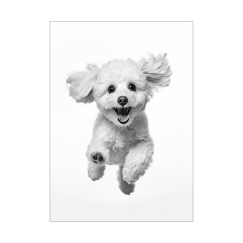 ポスター トイプードル