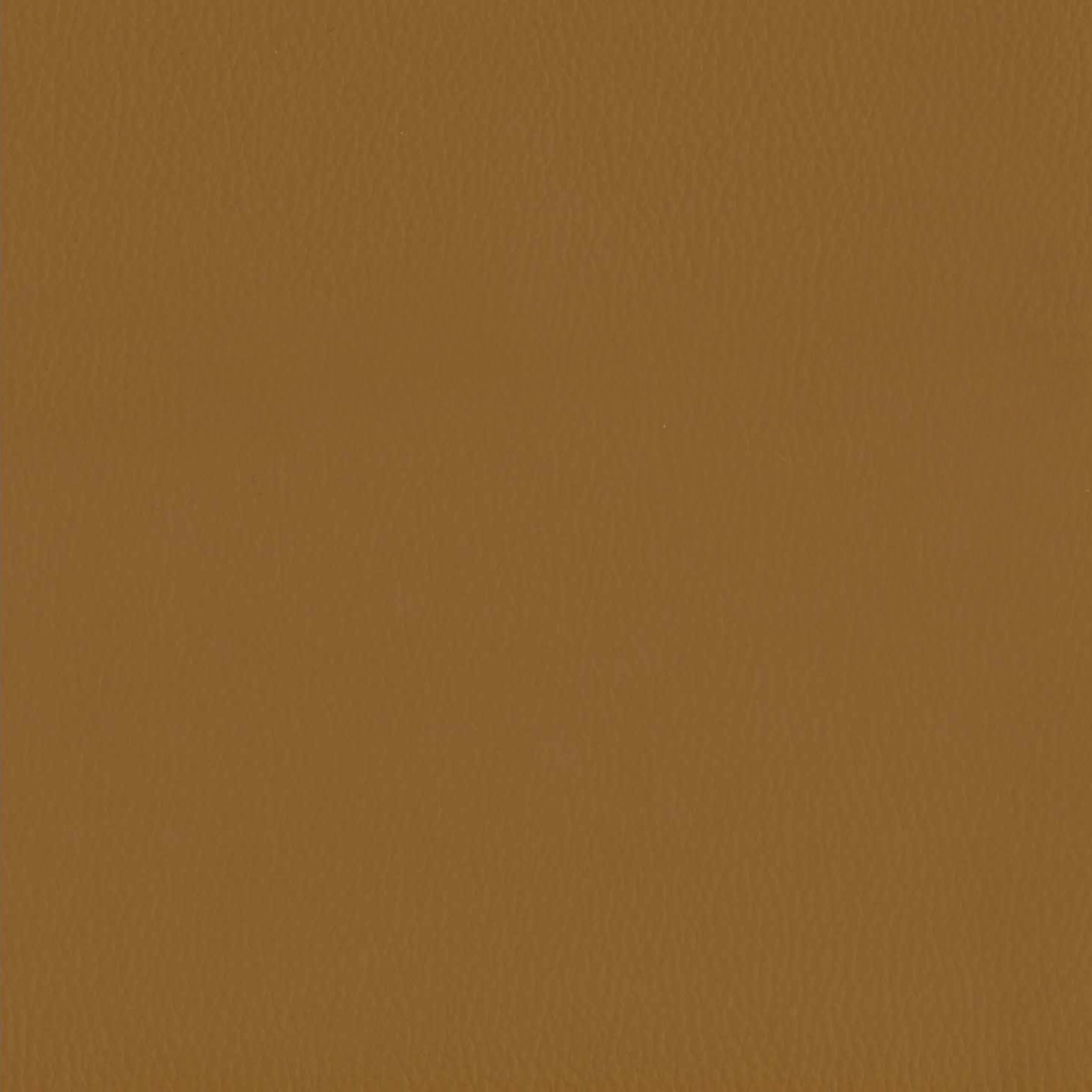 グラシエーロ　ヘッドレスト
