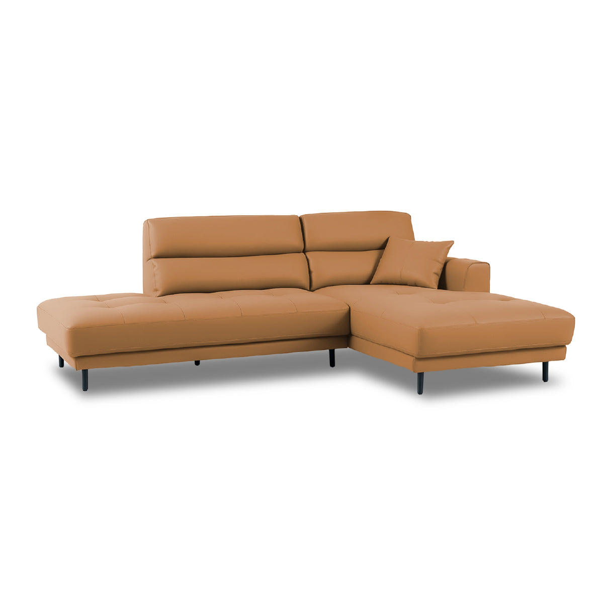 グレイスキャメル