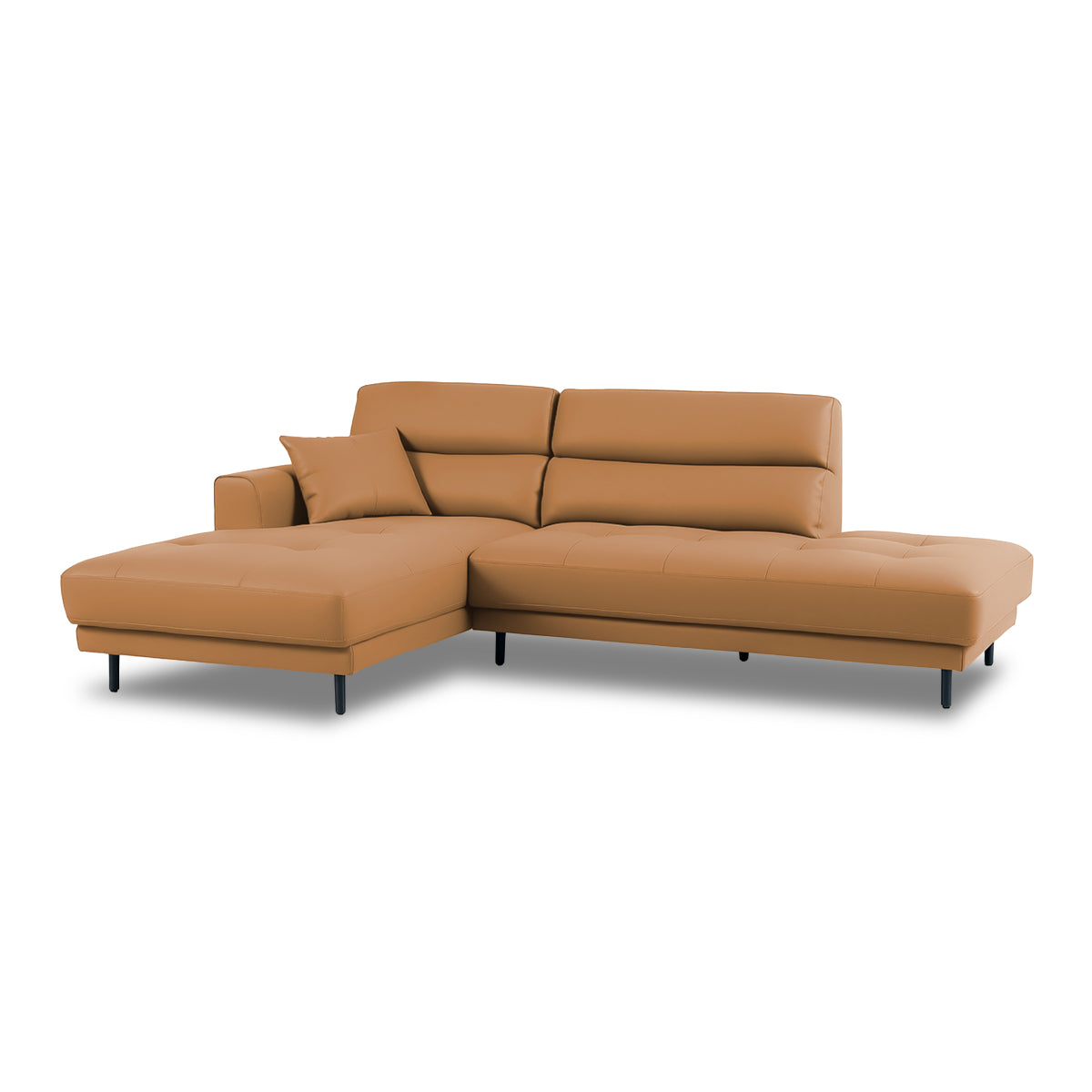 グレイスキャメル