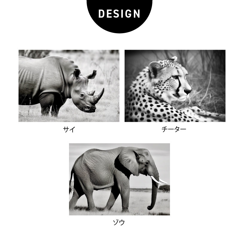 ポスター チーター