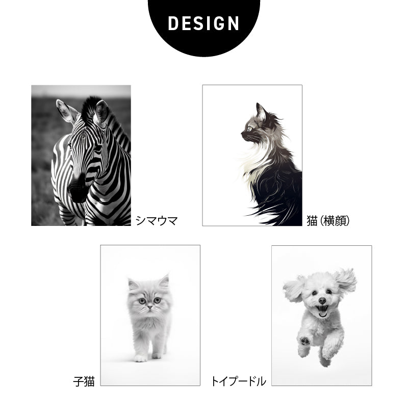 ポスター 猫 横顔